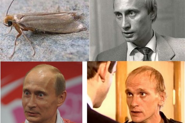 Кракен сайт at