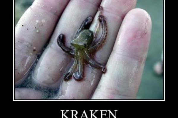 Kraken 6 at