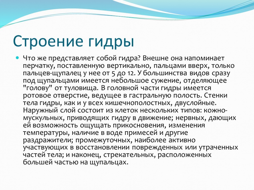 Кракен купить гашиш